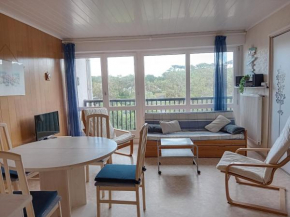 Appartement T2 à Seignosse, tout à pied, proche plage et commerces - FR-1-239-1062
